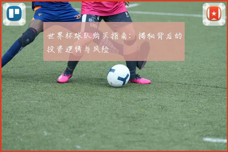 世界杯球队购买指南：揭秘背后的投资逻辑与风险